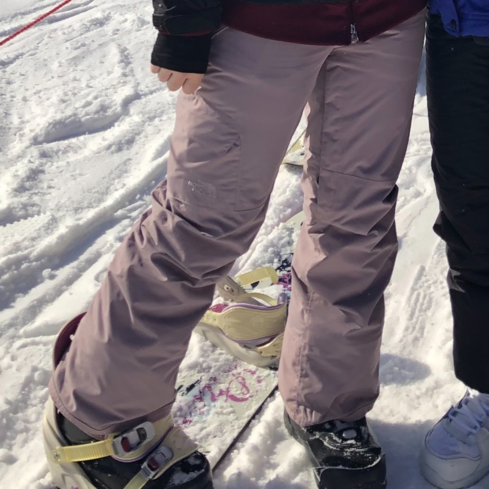 Women’s Purple North Face Snowboarding Pants